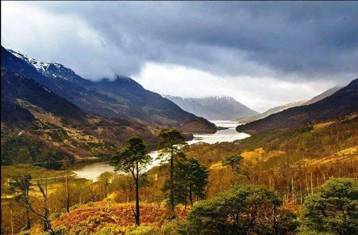 Forest View Guest House Kinlochleven Eksteriør billede